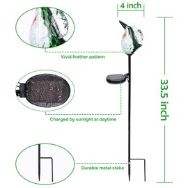 Afirst Decorative Solar Lights Outdoor Solar Hummingbird Stake Lights Hand Blown Glass Decorative Garden Pathway Light Outdoor Waterproof Glass Stakes Green