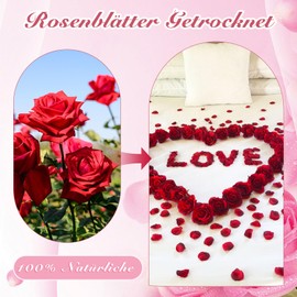 Scettar 120 g Rose Petals Dried Rose Petals 100% Petals Wedding Confetti Suitable for Romantic Evenings, Weddings, Parties