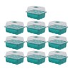 10Pcs Seedling Trays 12 Hole Transparent Adjustable Ventilated Seedling Starter