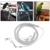 Parrot Flying Rope, 6 m Parrot Bird Anti Bite Flying