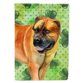 Caroline's Treasures BB9820GF Boerboel Mastiff St Patrick's Garden Flag, Green Mailbox Flag Decorative Yard Flag Banner Outside Patio Artwork Yard Flower Beds, Garden Size, Multicolor