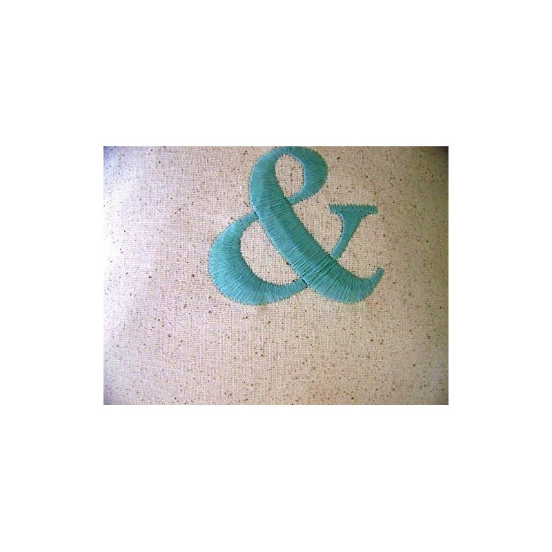 Ampersand embroidered Pillow