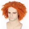 LeMarnia Mad Hatter Wig Orange Short Curly Wig for Halloween