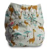 Littles & Bloomz, Reusable Pocket Cloth Nappy, Fastener: Popper, Set