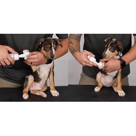 Clean Paw Dog Cat Pet Hypoallergenic Waterless Unscented Cleansing Foam with Brush (1 Bottle)