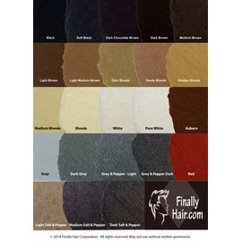 Hair Building Fibers Dark Blonde 25 Grams Refill Your Existing Bottle. Highest Grade Fiber by Finally Hair (Dark Blond Dirty Blonde)