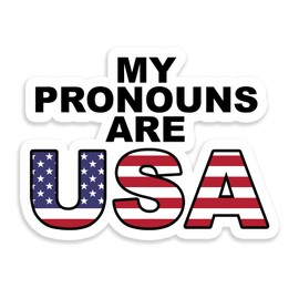 My Pronouns are USA Sticker Decal Notebook Car Laptop 5.5"x4.25" (Color)