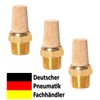 Pneumatic Silencer Made of Sintered Bronze 3/8 Inch Set of