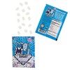 Fruidles Sugar Free Gum Mini Chicles Peppermint Flavor 3000 Pieces
