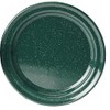 Gsi Outdoors Dish, Unisex Adult, Green, 10 "