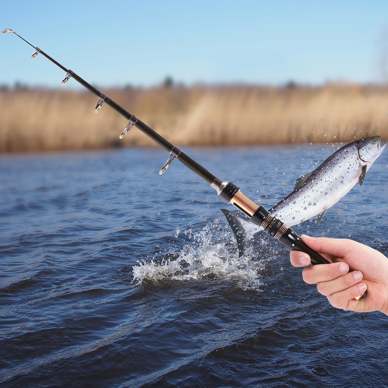 Protable Super Hard Carbon Fishing Rod Ultrashort Section Mini Telescopic