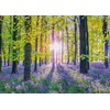 Schmidt Spiele 59767 Delicate Bellflowers in the Forest, 1000 Pieces,