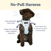 Lucy & Co. The Simply Splendid No-Pull Dog Harness -