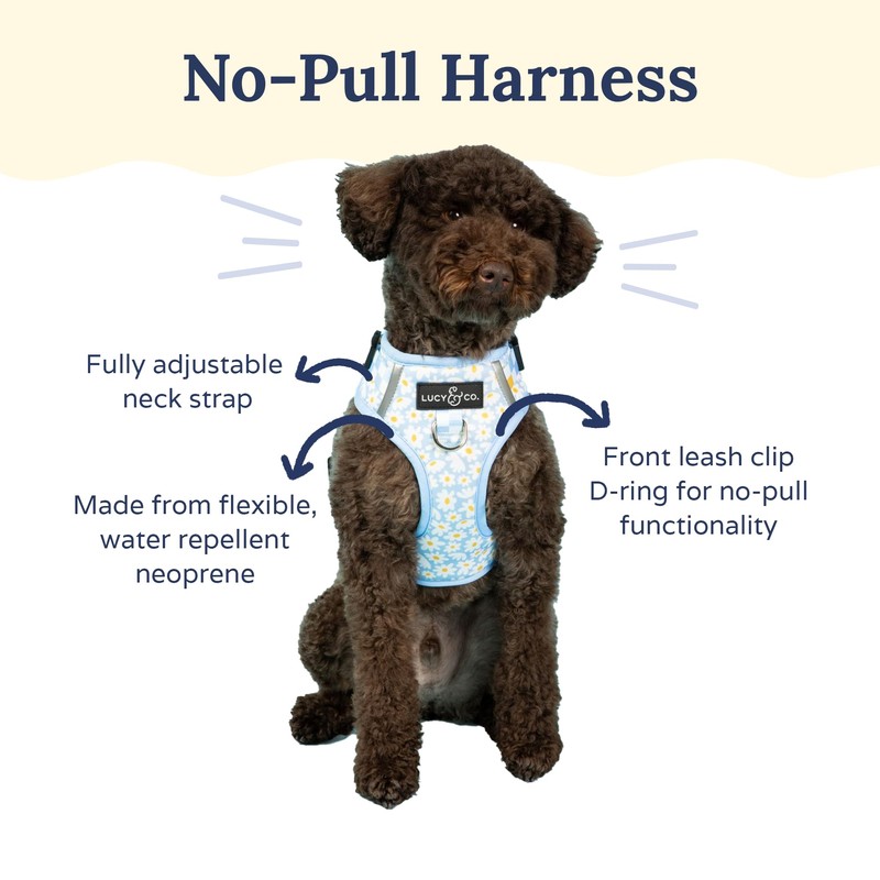 Lucy & Co. The Simply Splendid No-Pull Dog Harness -