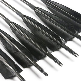 Linkboy Archery Carbon Arrows Hunting Practice Target Arrows Fluorescent with Removable Tip for Compound Recurve Long Bows, Spine 250 300 340 400 500 600 700 800, Pack of 6/12PCS