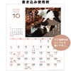 Active Corporation 2026 Calendar Desk-top Sunbathing Cat Chronicles 26ACL-539 2026