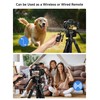 Camera Remote Shutter Release Wireless: [164'] Radio Control Accessories for