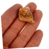 BUGUUYO 10pcs Mineral Rock Specimen Display for Teaching Irregular Stones