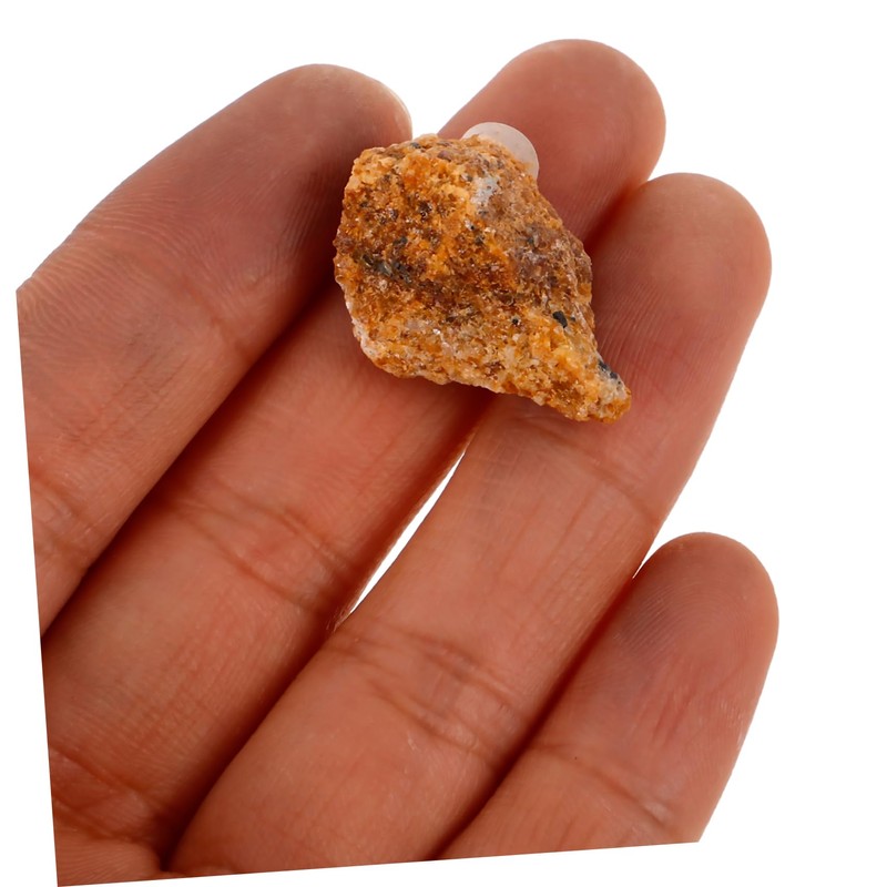 BUGUUYO 10pcs Mineral Rock Specimen Display for Teaching Irregular Stones