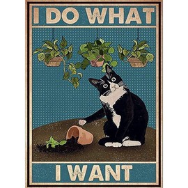 FORLAND Cat Diamond Painting Kits for Adults Beginners - 5D DIY Full Drill Diamond Kits Painting Crafts for Home Wall Decor, Diamond Art Kits,12x16inch (cat 3)