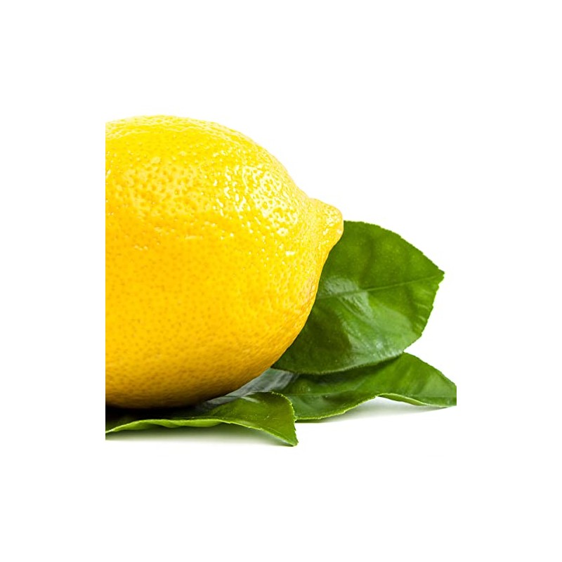 Earth To Skin Super Foods Lemon + Basil Hand &