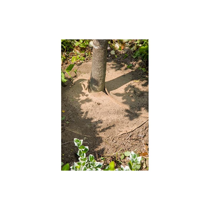 La cordeline Jute Felt Mulching Discs 700gsm 30cm Pack of