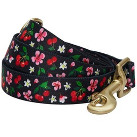 Blueberry Pet 9 Patterns Cherry Garden Black Dog Leash 5 ft x 3/4", Medium, Leashes for Dogs