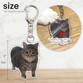 Llavero de gato lindo Kawaii con memes divertidos dos gatos, 8 unidades