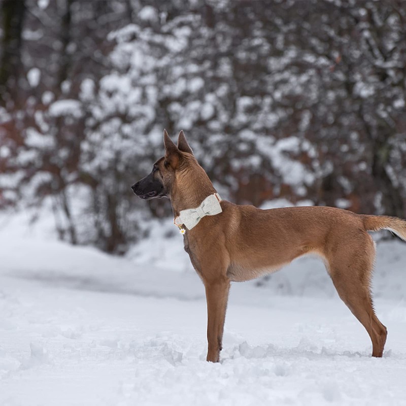 Elegant Little Tail Dog Collar with Bow - Herringbone Grey,