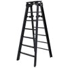 Black Ladder for Wrestling Action Figures