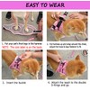 Moonpet Step in Air Boy Dog Harness Leash Set- All