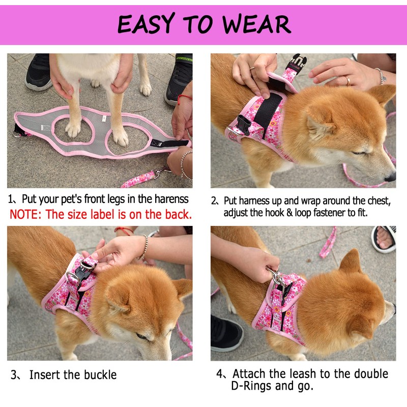 Moonpet Step in Air Boy Dog Harness Leash Set- All