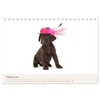 Labrador - Welpen (Tischkalender 2026 DIN A5 quer), CALVENDO Monatskalender: