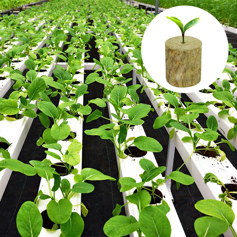 Nuyoah Rock Wool Cultivation Cubes Hydroponics Rockwool Cube Rockwool Cube