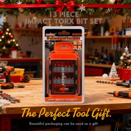 HORUSDY Tamper Proof Torx Bit Set, 13-Pieces T5-T40 Security Torx Bits with Magnetic Tips, Torque Star Bits with 2.1" Self-locking Quick Change and Storage Box, S2 Steel