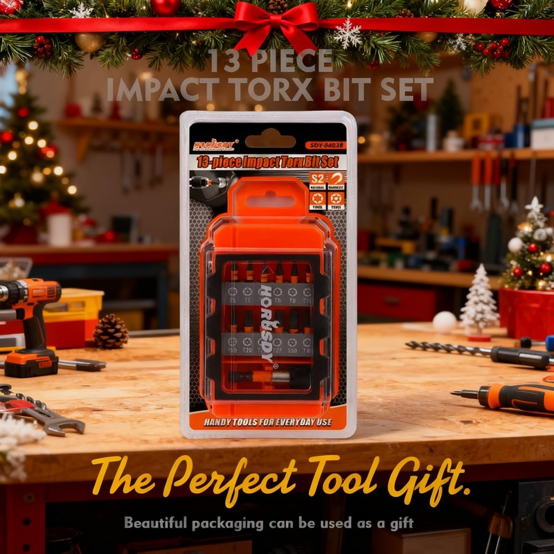 HORUSDY Tamper Proof Torx Bit Set, 13-Pieces T5-T40 Security Torx