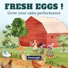 Havongki 100pcs Premium Fresh Farm Eggs Handling Care Instructions Cards