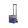 Igloo Latitude 16 Roller (Indigo Blu.Wht.M-Gray.Wht) 00034825