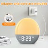 BOOTEEK Daylight Alarm Clock, Digital Wake Up Light with Radio,