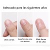 Dolores Caja 240 Uds Tip Uña Postiza Stiletto Natural Transparente