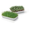 Tescoma 899098 Sprouting Bucket, Two Bowls with Grid and Sprout