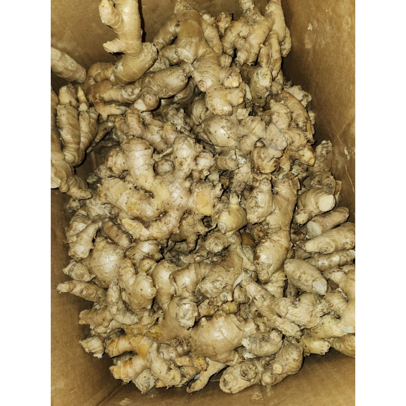 Roots Raw Whole Ginger Roots - 5Lb