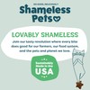 Shameless Pets Crunchy Cat Treats - Catnip Treats for Cats