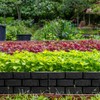 4 Pcs Black Faux Stone Garden Fence, Landscape Edging Border