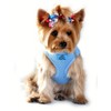 Doggie Design No Choke Dog Harness - Simple Step-in and