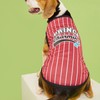 Pet Vertical Stripes Vest Vertical Stripes Classic Loose Prevent Sunburn