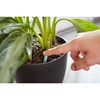 Miracle-Gro Indoor Plant Food Spikes, Includes 24 Spikes - Continuous
