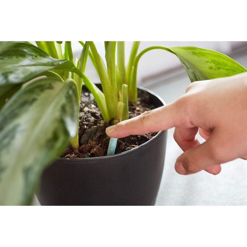 Miracle-Gro Indoor Plant Food Spikes, Includes 24 Spikes - Continuous