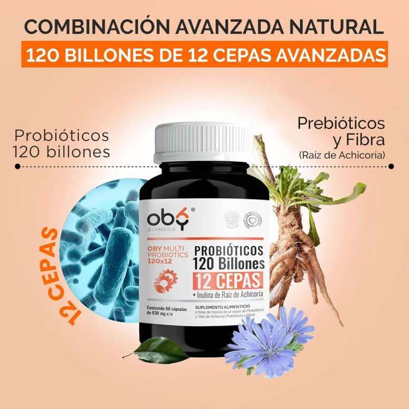 Probioticos 120 Billones Ufc Cepas Prebioticos Microencapsulacion Capas Inulina Achicoria