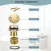 Tip-Toe Bathtub Drain Kit with Two-Hole Overflow Plate, Premium Quality